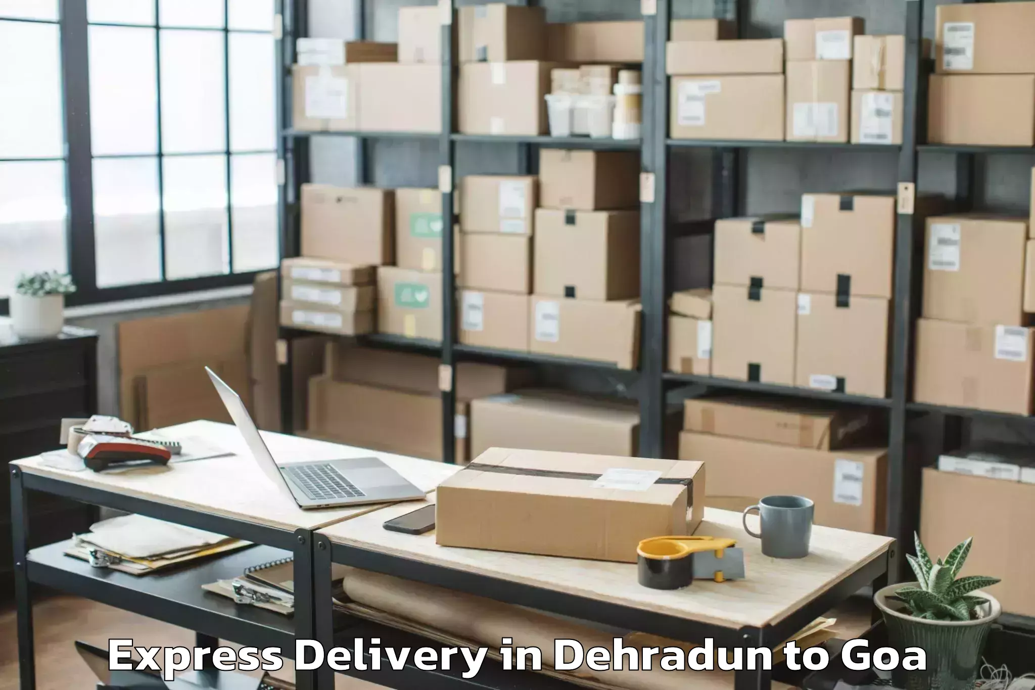 Professional Dehradun to Saligao Express Delivery